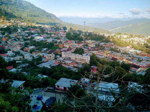 El Bosque