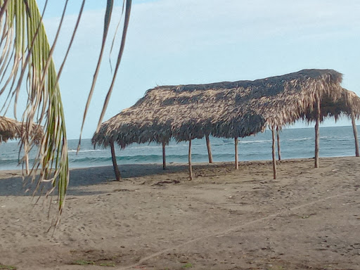 Colonia el zapotal