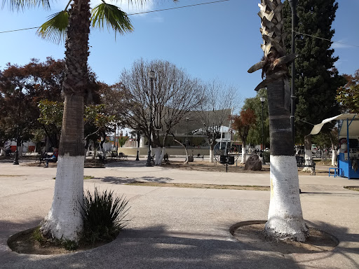 Jesús Gómez Portugal