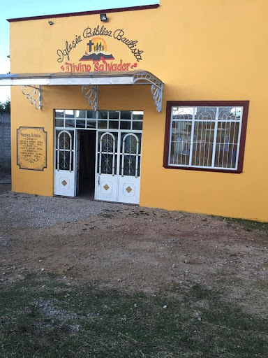 Iglesia Bíblica Bautista ”DivinoSalvador”
