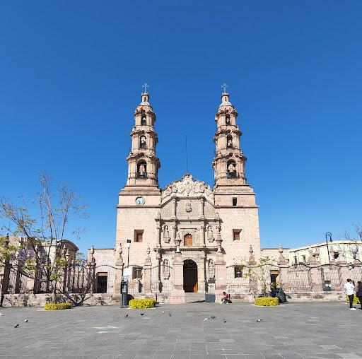 Catedral de Aguascalientes (Catedral Basílica de Ntra. Sra. de la Asunción)