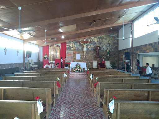 Iglesia Católica, Maximiliano Kolbe