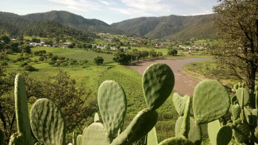 Turuachi