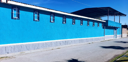 IGLESIA VIÑA DEL SEÑOR- pastor Cristian Lira